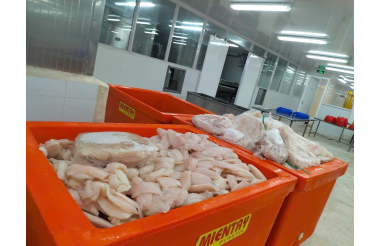 Done deal - CIIC tư vấn thành công dự án MnA và dàn xếp toàn bộ vốn vay cho Nhà máy chế biến cá tra fillet xuất khẩu