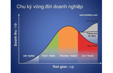 Vòng đời Doanh nghiệp